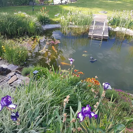 Apartment Wohlfühlen Am Gartenteich Oberzissen