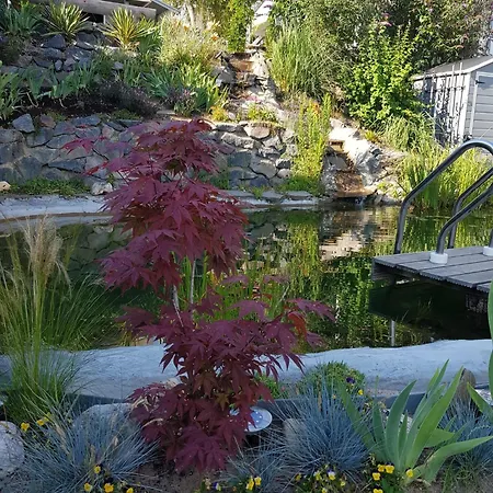 Wohlfuehlen Am Gartenteich Oberzissen