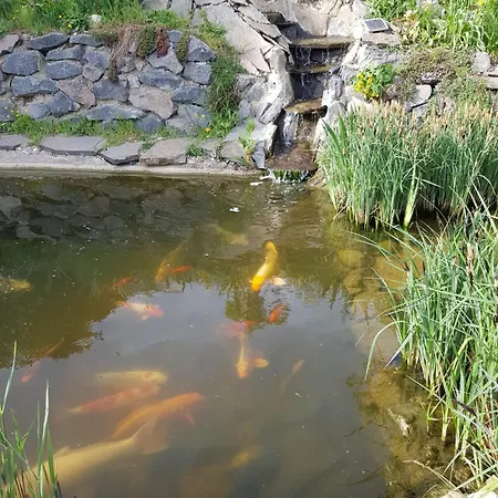 Apartment Wohlfuehlen Am Gartenteich *
