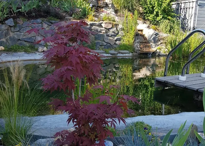 Wohlfuehlen Am Gartenteich Oberzissen